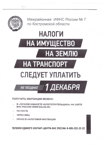 Налоги на имущество, на землю, на транспорт следует уплатить не позднее 1 декабря